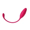 YT-24060 app-controlled couples vibrator wholesale product image